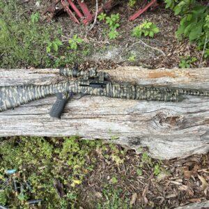 Bottomland Old School